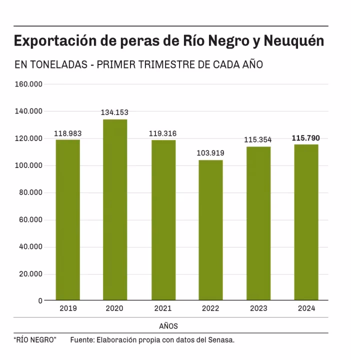 ¿Por qué exportamos manzanas y peras en el Alto Valle de Río Negro?