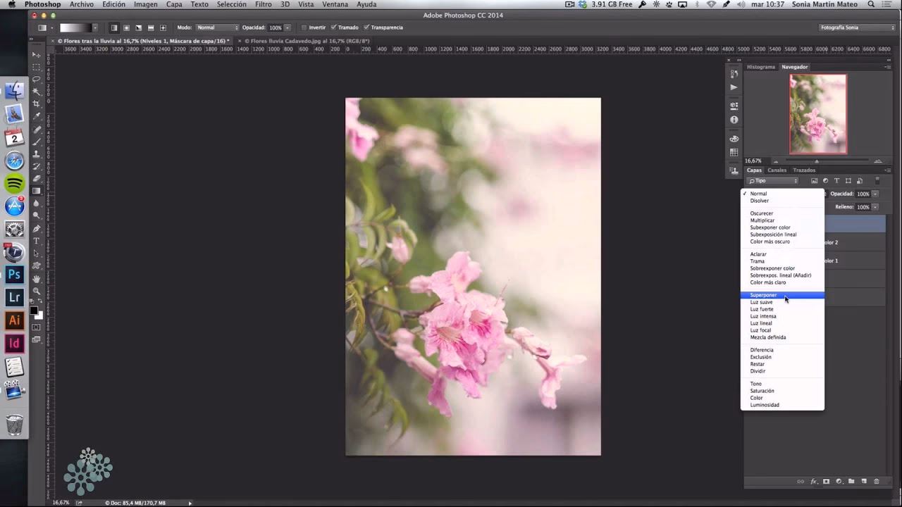 ¿Cómo colorear una foto en Photoshop?