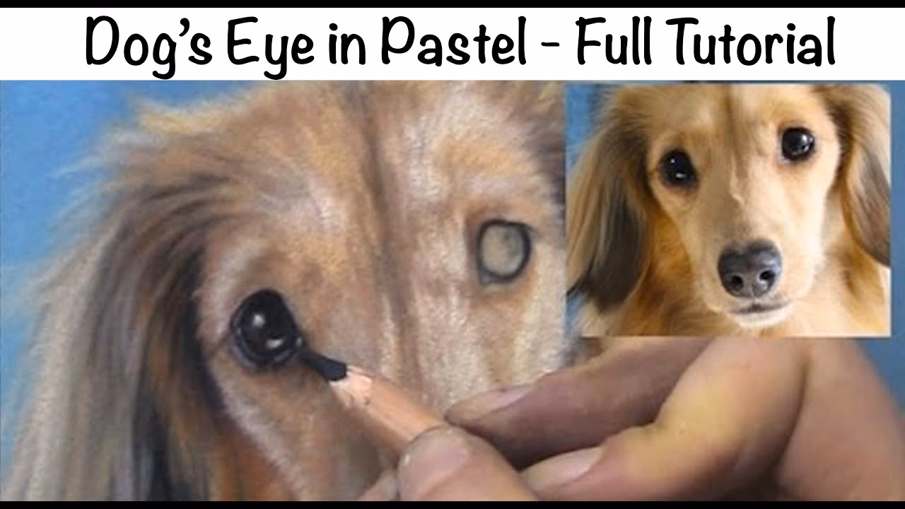 How to paint realistic dog eyes?