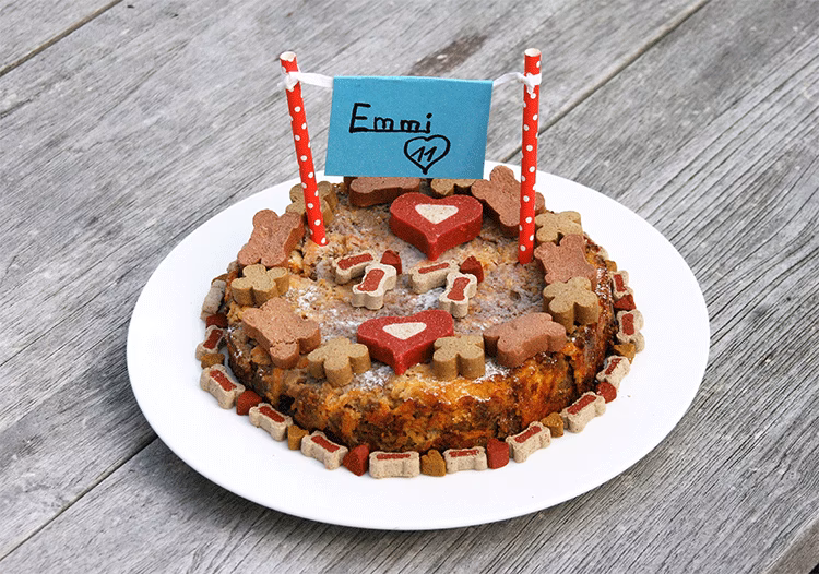 Was sind die Vorteile einer hundetorte?