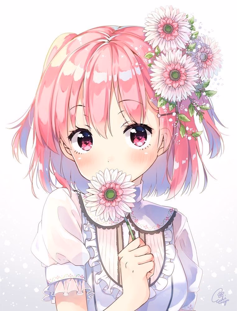 ¿Cuáles son las chicas de anime con cabello rosado?