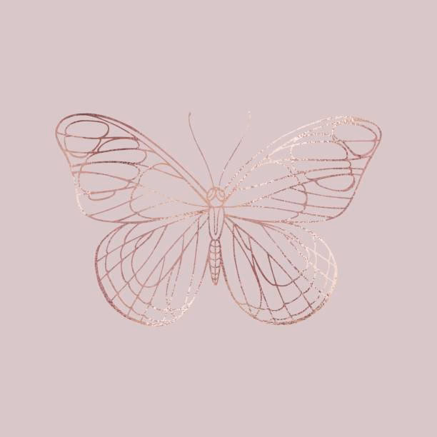 ¿Cómo descargar imágenes de mariposas rosa pastel?
