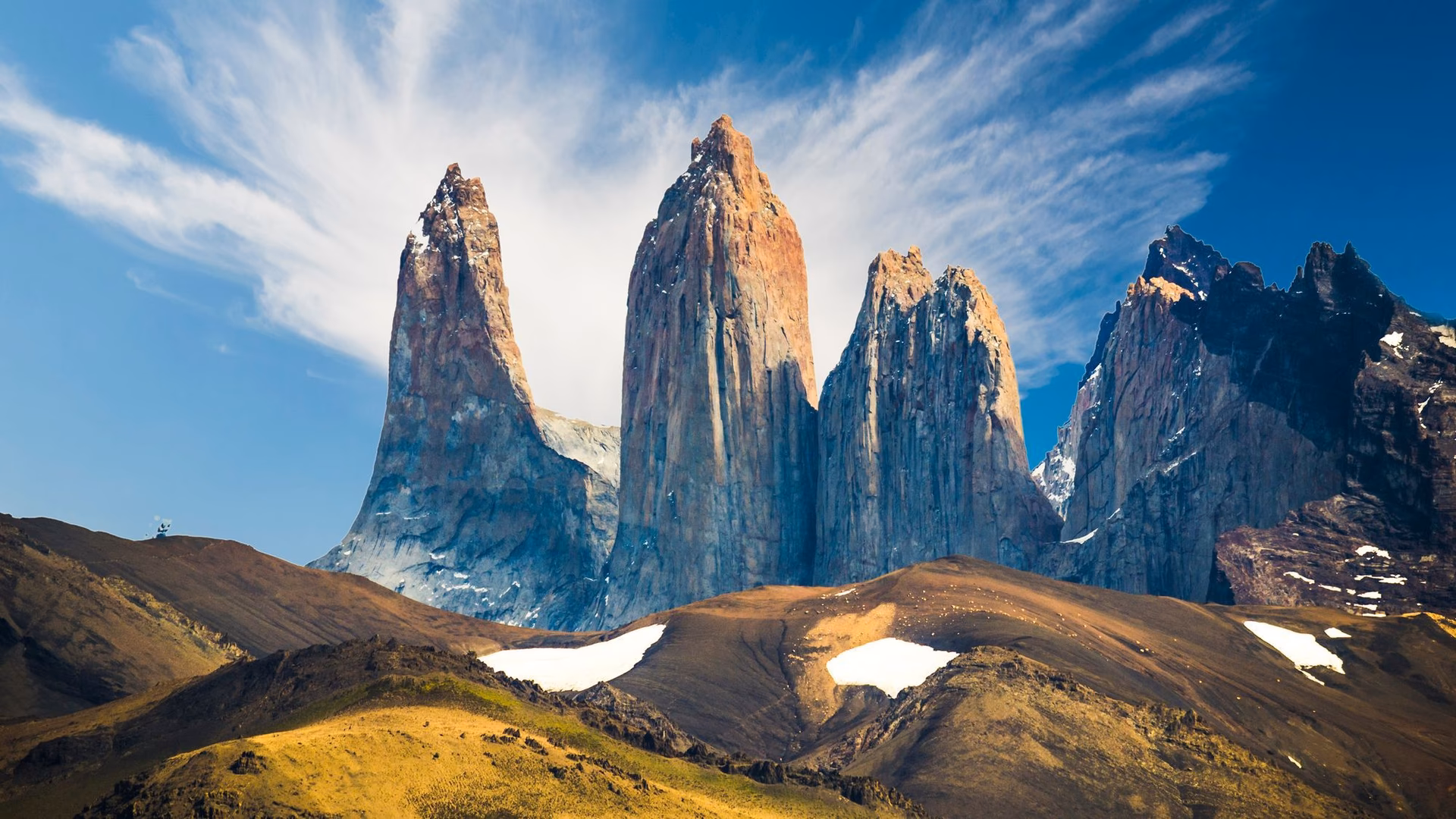 ¿Cuál es la flora y fauna de Torres del Paine?