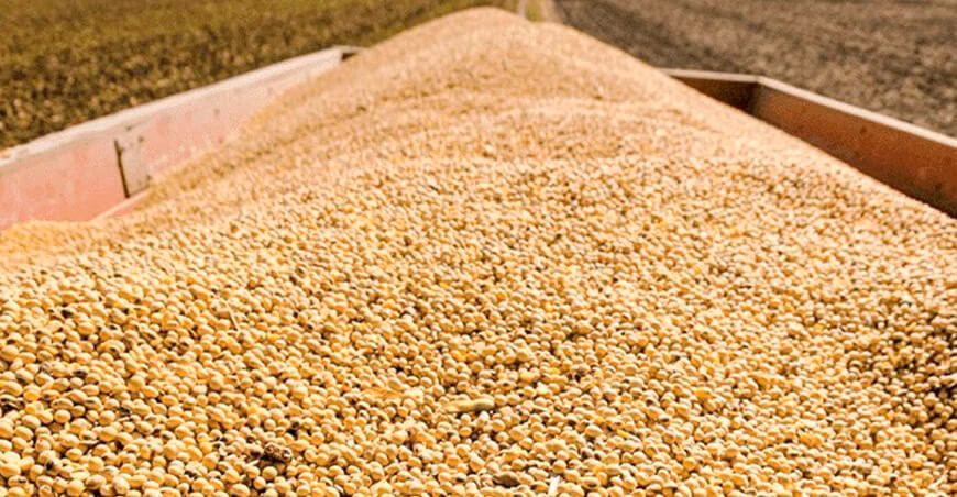 ¿Cómo se cubre la demanda de torta de soya en Argentina?