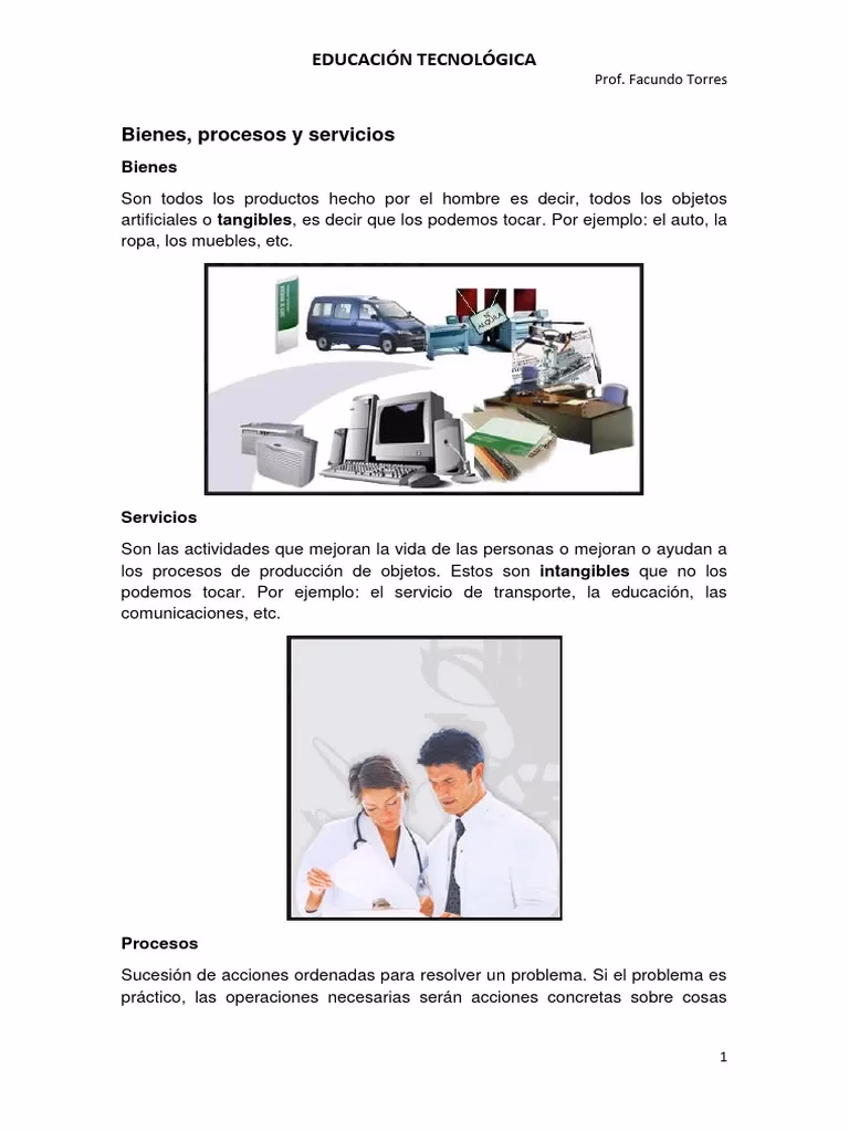 ¿Cuáles son los bienes de un servicio?