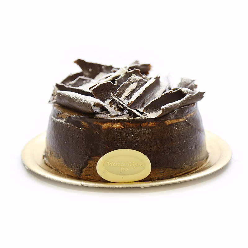 ¿Quién fue Vicente López Tovar?