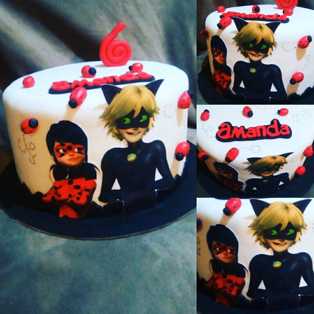 ¿Cómo Ladybug y Cat Noir rescatan a Alya?