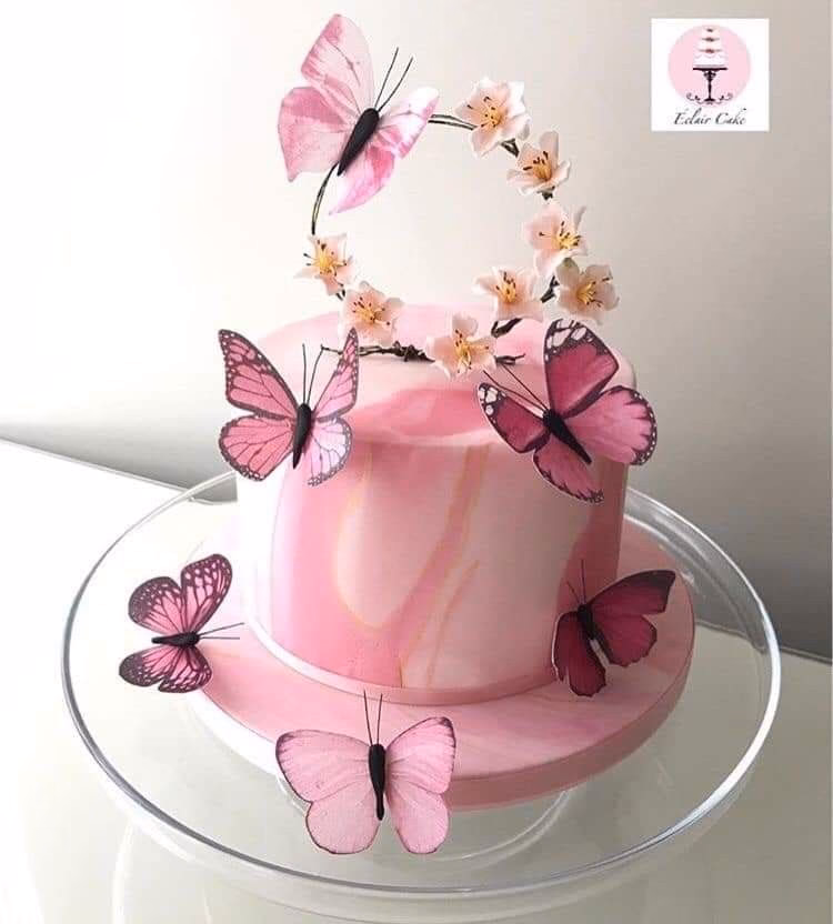¿Cuáles son las partes de la mariposa?