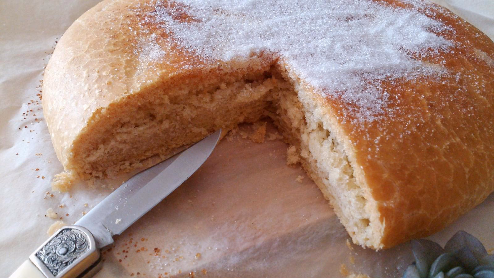 ¿Qué son las tortas de aceite de Inés Rosales?