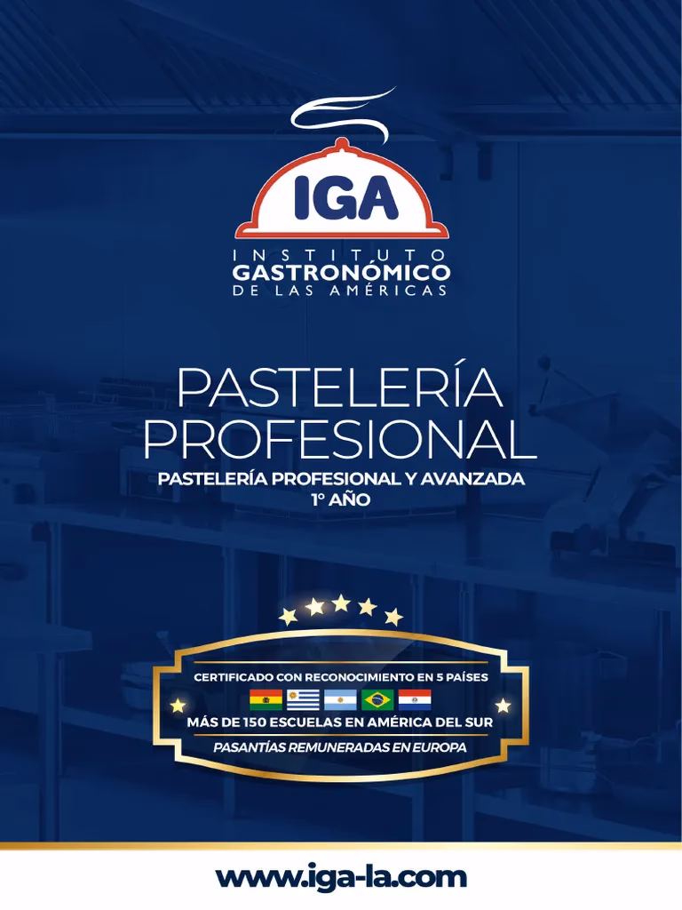 ¿Cuáles son los documentos que aprueba el Iga?