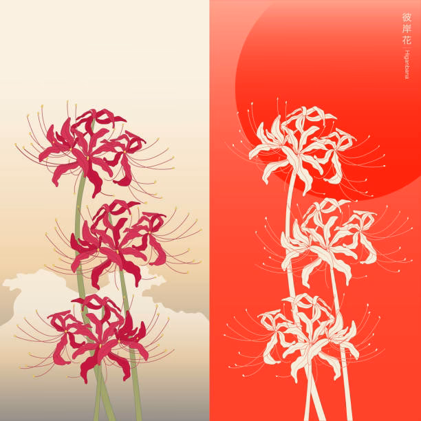 ¿Qué significa tener un lirio de araña roja en tu camino?