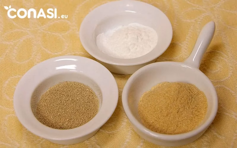 ¿Por qué no se puede hacer pan con levadura de pastelería?