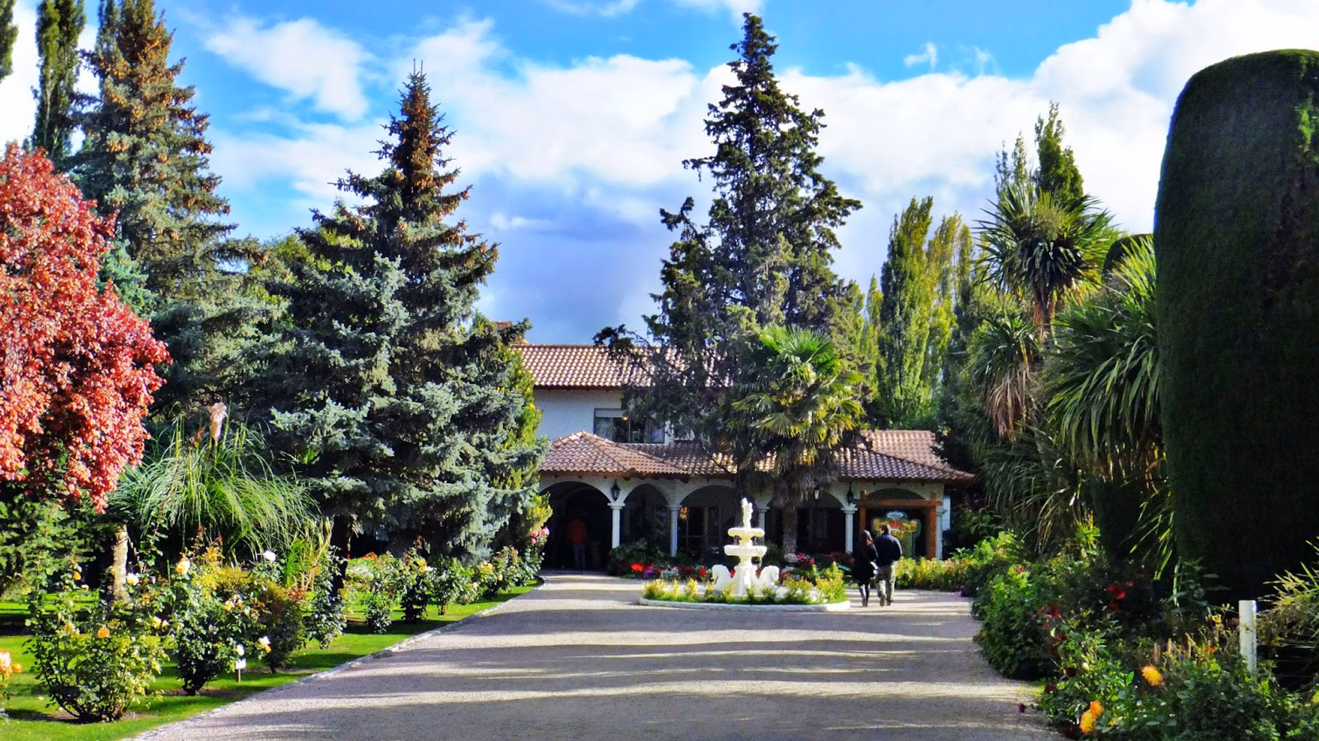 ¿Qué pasó con Lady Di en Puerto Madryn?