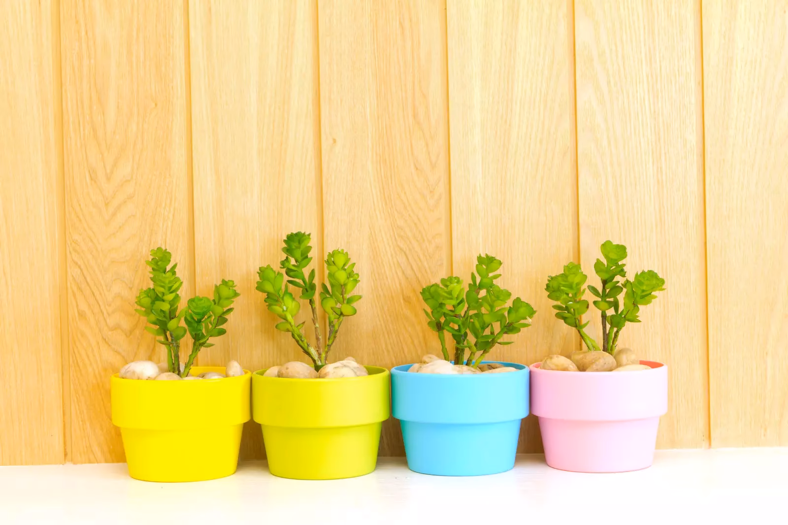 ¿Cómo preparar la maceta plástica para pintarla?