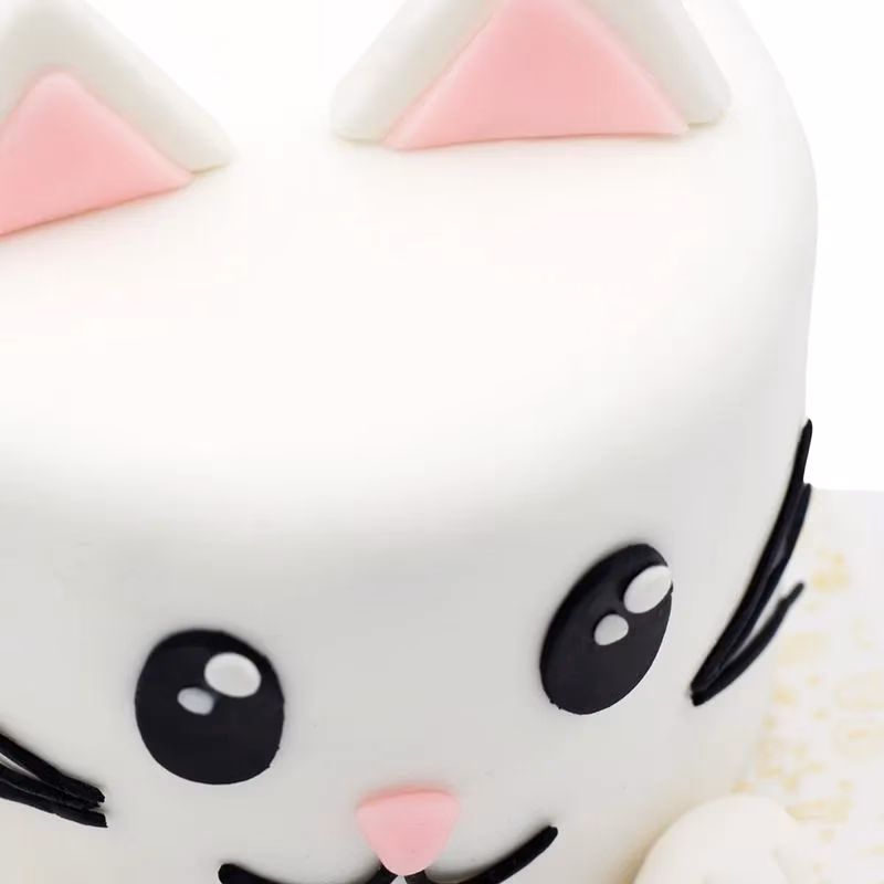 ¿Qué tan peligroso es un gato mini Toy?