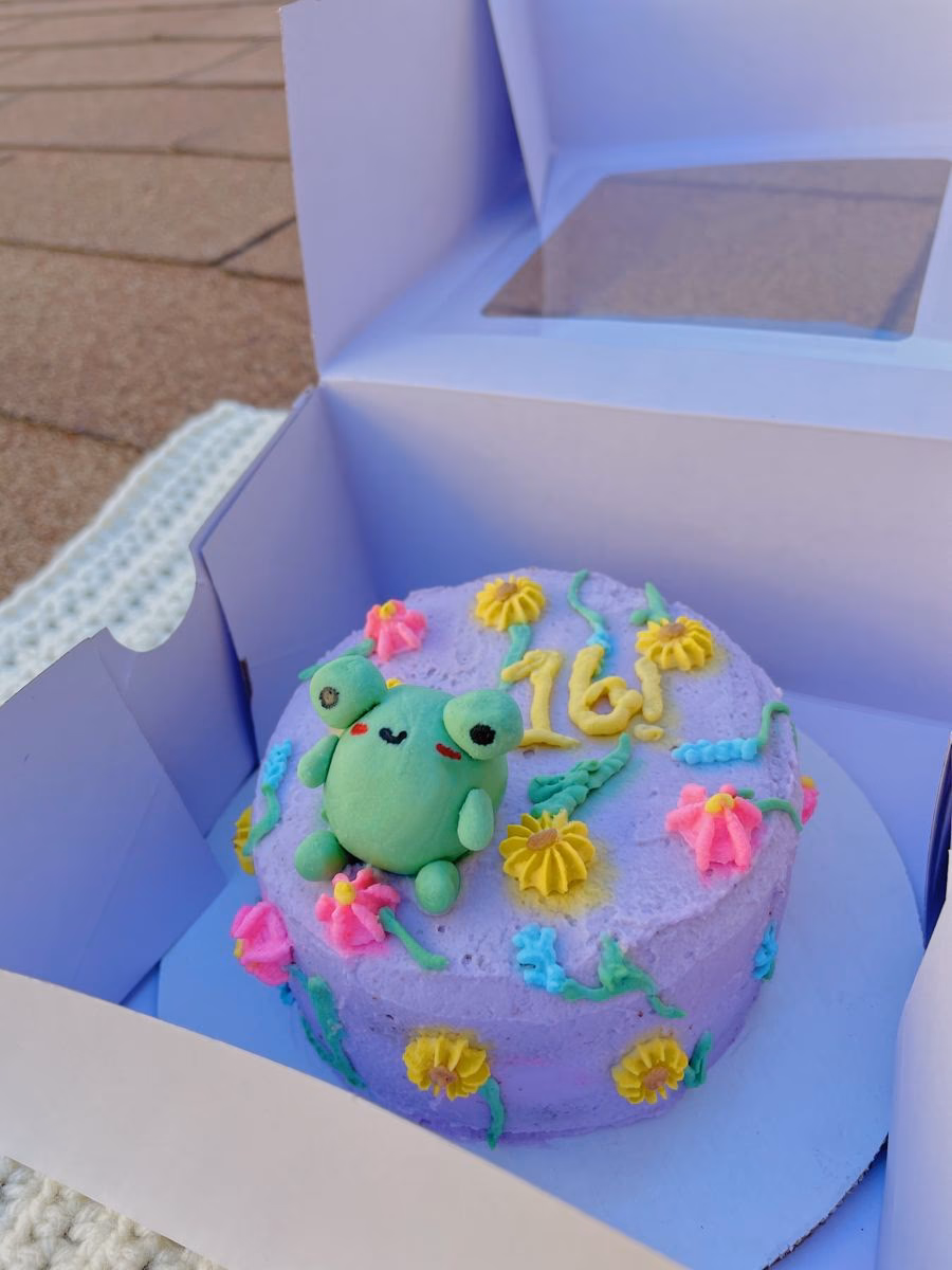 ¿Qué es mejor el lápiz pastel o el pastel blando?