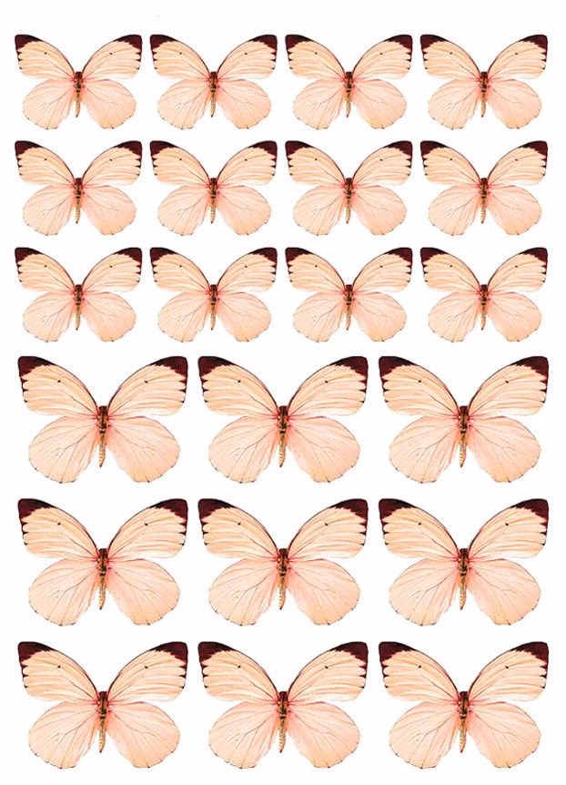 ¿Qué son las mariposas para colorear e imprimir?