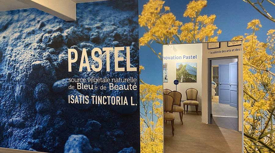 Où se trouve la nouvelle boutique de Terre de Pastel ?