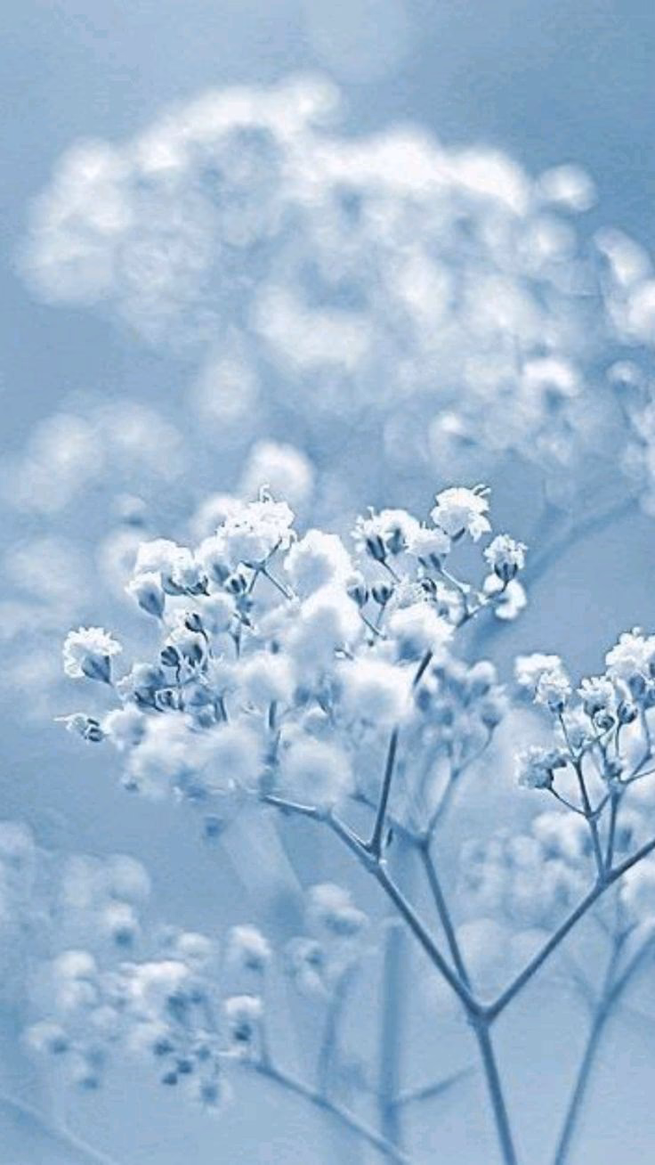 How many pastel blue aesthetics desktop wallpapers are there?