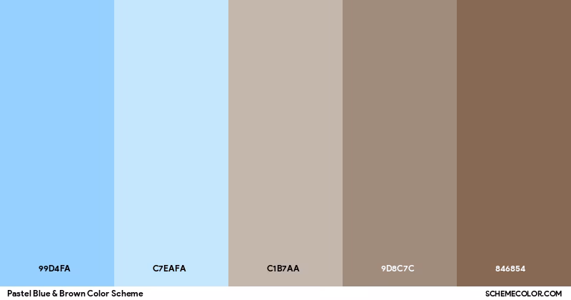 What colors are in the pastel blue & brown color scheme?