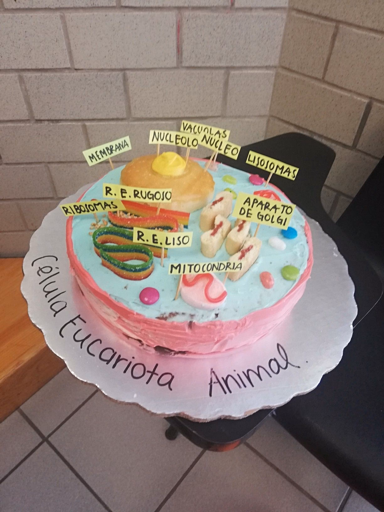 ¿Cuál es la diferencia entre galleta y pastel?