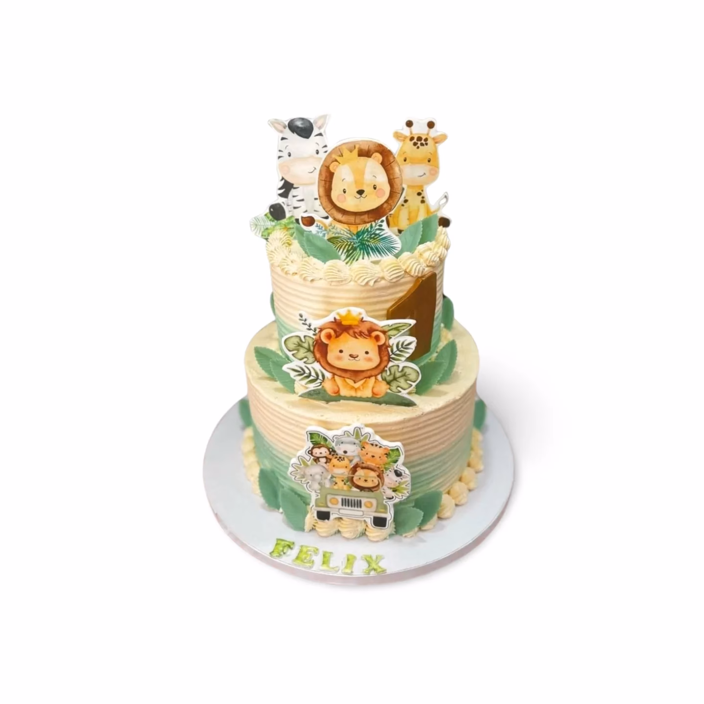 ¿Cuáles son las características de la selva pastizales?