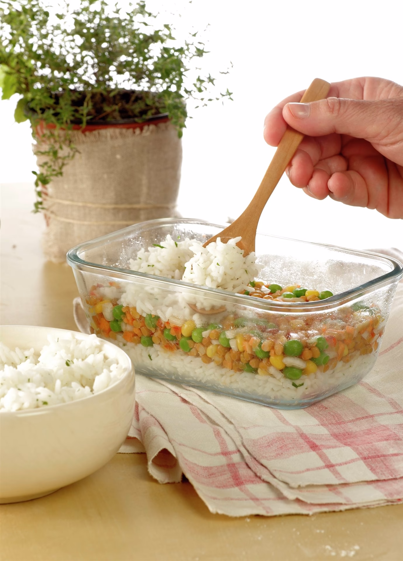 ¿Cómo hacer arroz con lentejas?