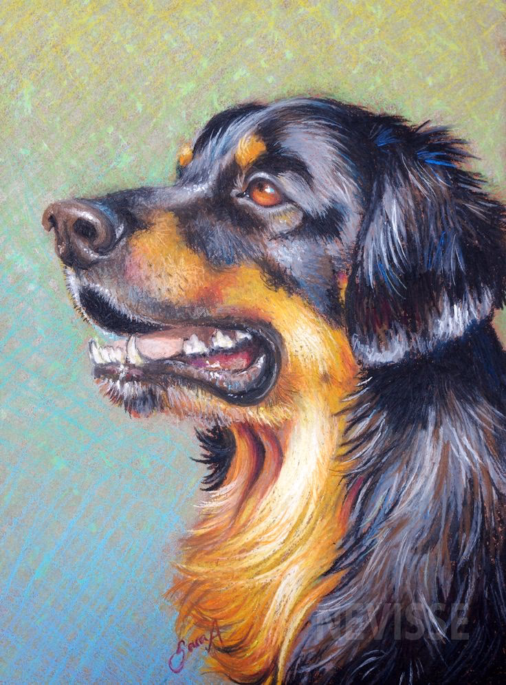 What can I do with a pastel pencil?