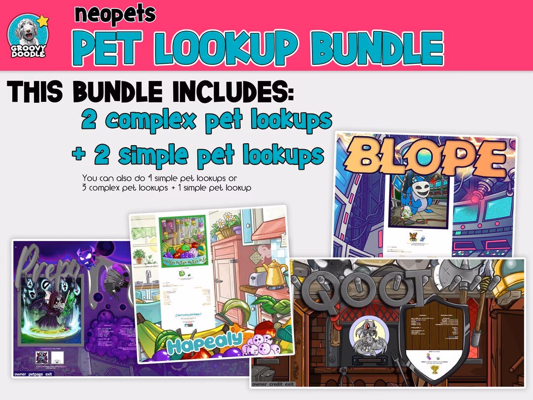 How do I use Neopets winter userlookups?