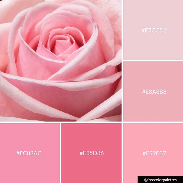 What color is pale pink?