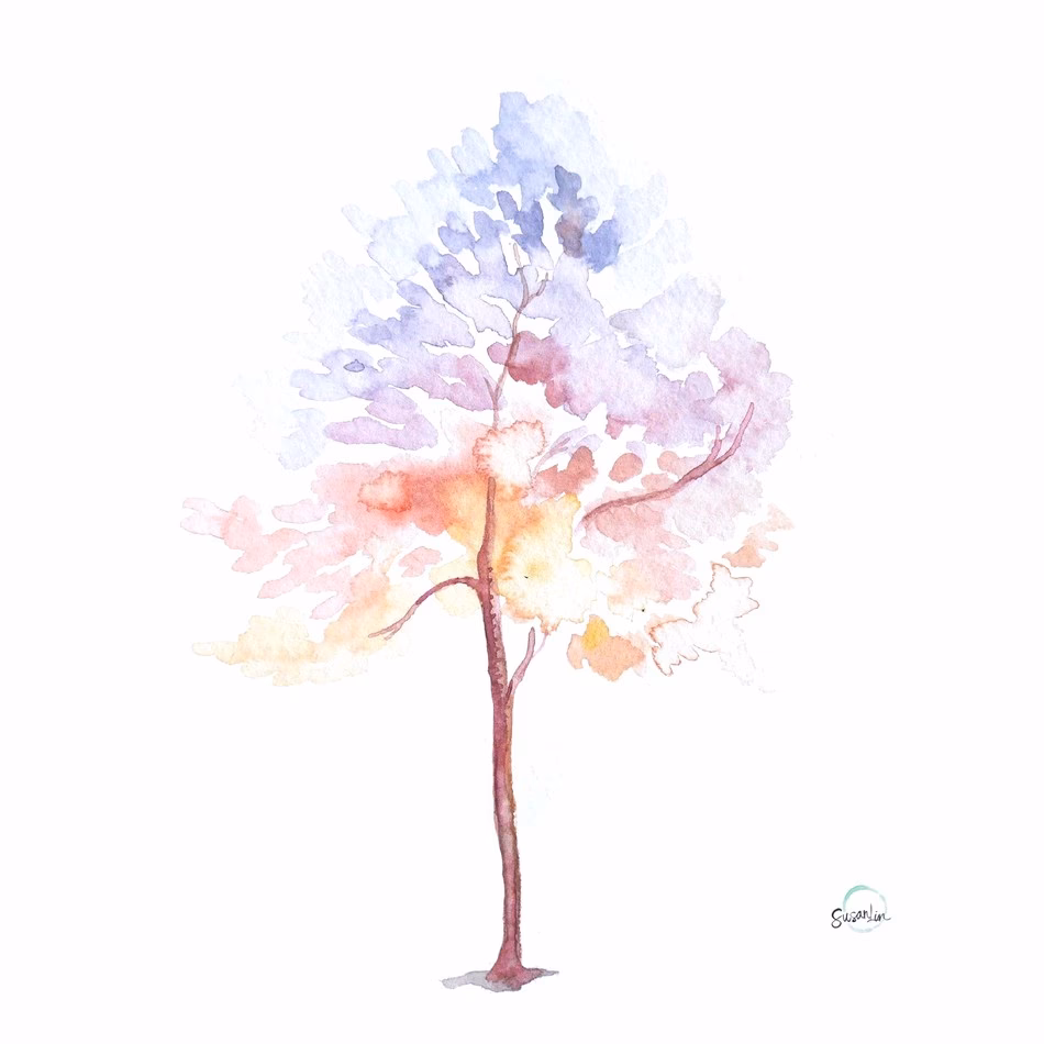 What is a pastel garden?