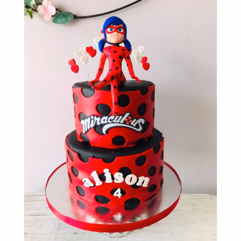 ¿Qué se puede hacer con los dibujos de Ladybug?