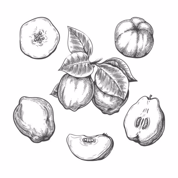 ¿Por qué los dulces de membrillo son más amarillos que rojizos?