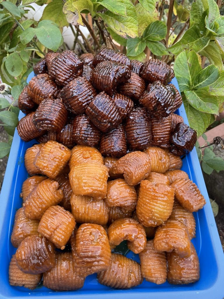 ¿Cuáles son los pasteles fritos de carnaval?