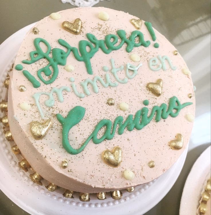 ¿Qué le pasó a mis pastelitos en el día que me enteré que estoy embarazada?