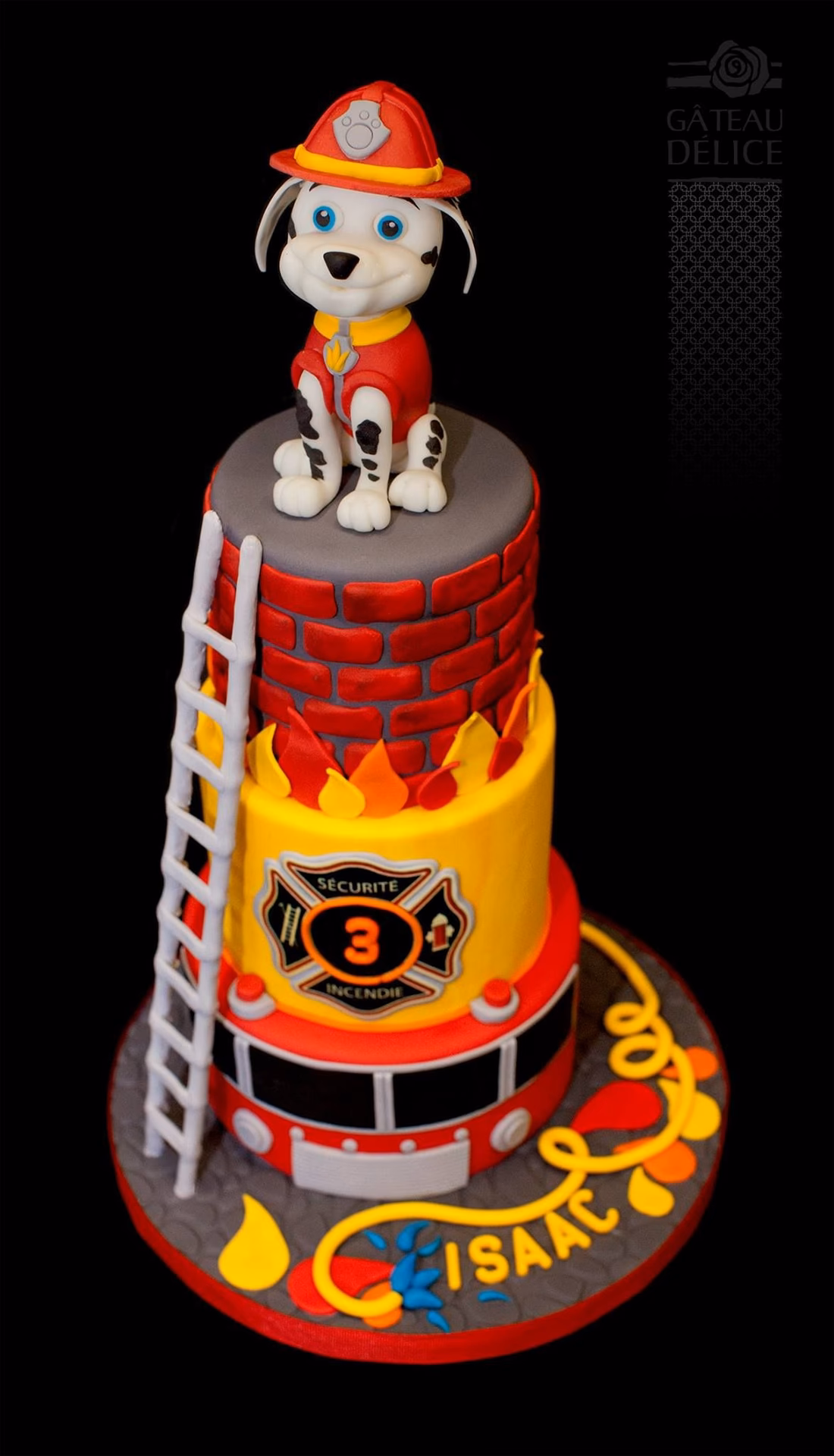 ¿Cómo descargar imágenes de personajes de PAW Patrol?
