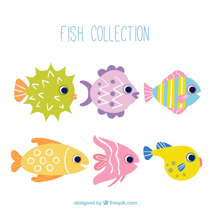 ¿Dónde nadan los peces carpas multicolores?