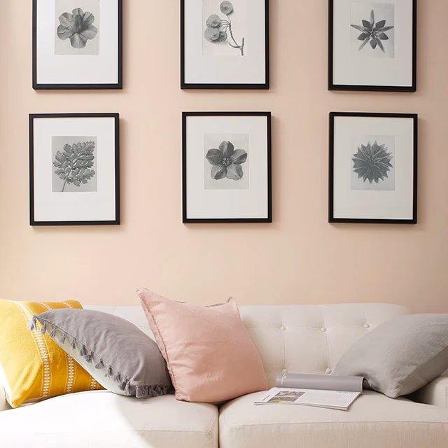 ¿Cómo elegir los colores de pastel?