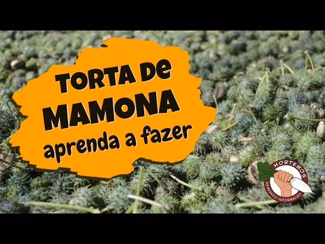 Como usar o pó de torta-de-mamona?