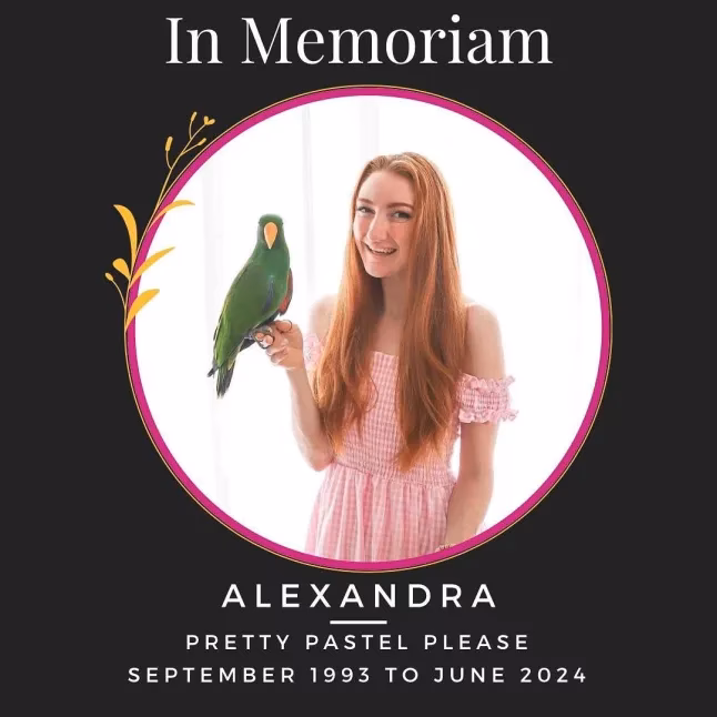 Who is pretty pastel please?