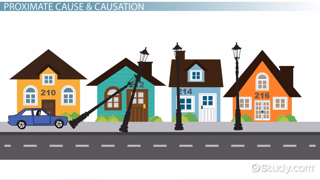 What is proximate causation?