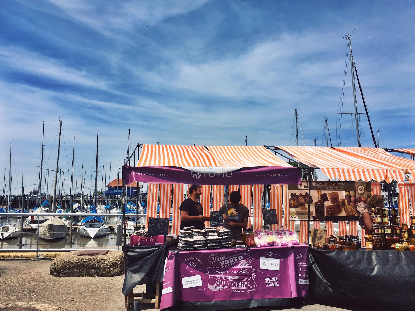 ¿Qué es el olivar del puerto?