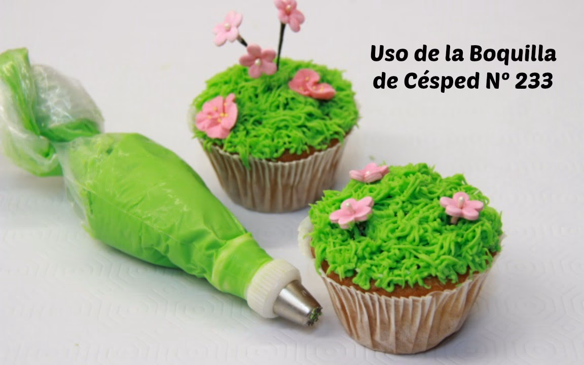 ¿Cuál es el mejor pasto para el jardín?