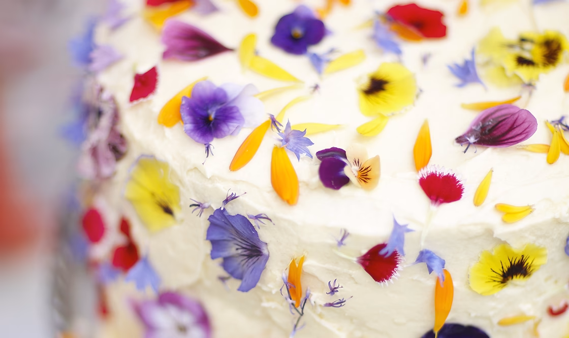 ¿Cómo mejorar el sabor de los pasteles?