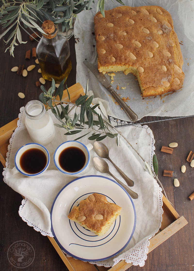 ¿Qué es la torta de aceite de oliva?