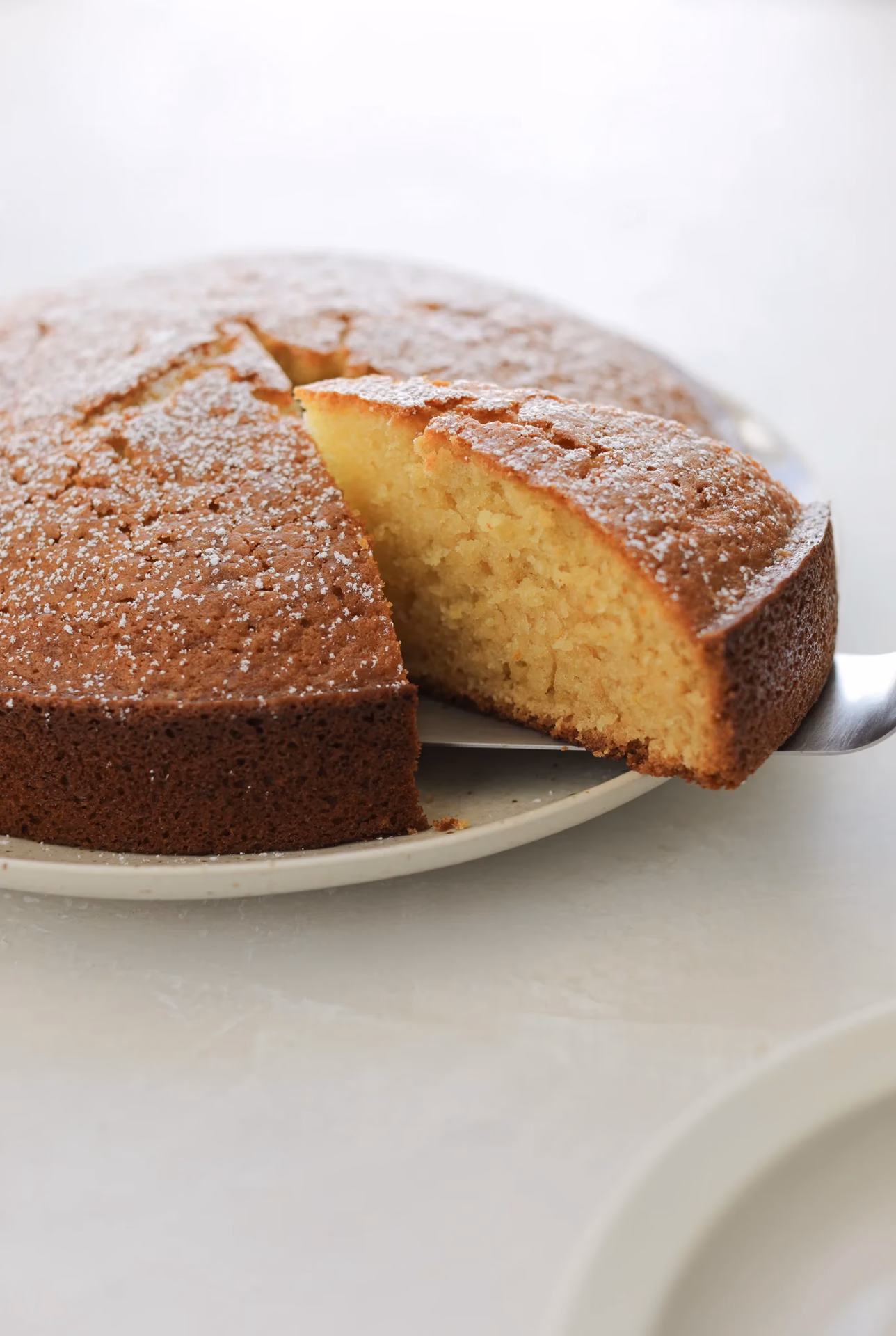 ¿Qué son las tortas de aceite?