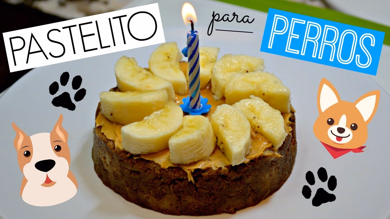 ¿Cuánto tiempo se debe hornear una torta para perros?