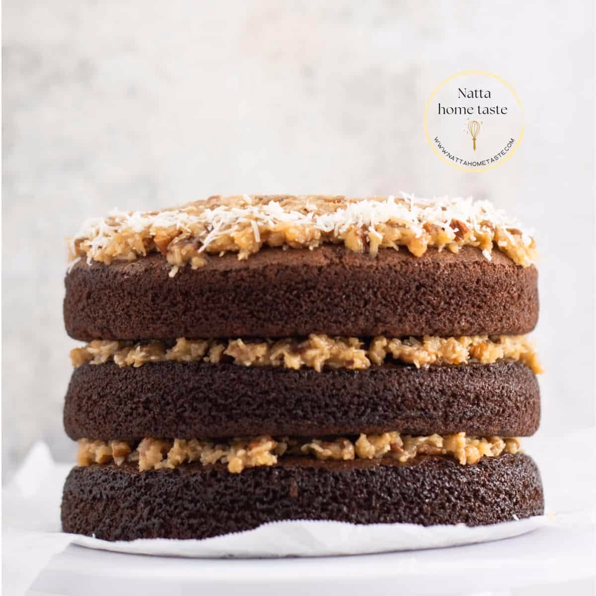 ¿Qué es el pastel alemán de manzana?