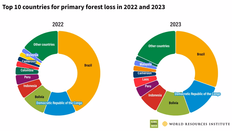 ¿Cuáles son los objetivos del sistema de información de Estadística Forestal?