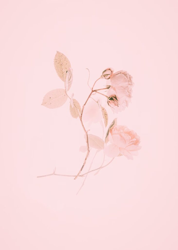Vida Rosa Pastel El Encanto del Rosa Pastel en la Repostería | GASDA